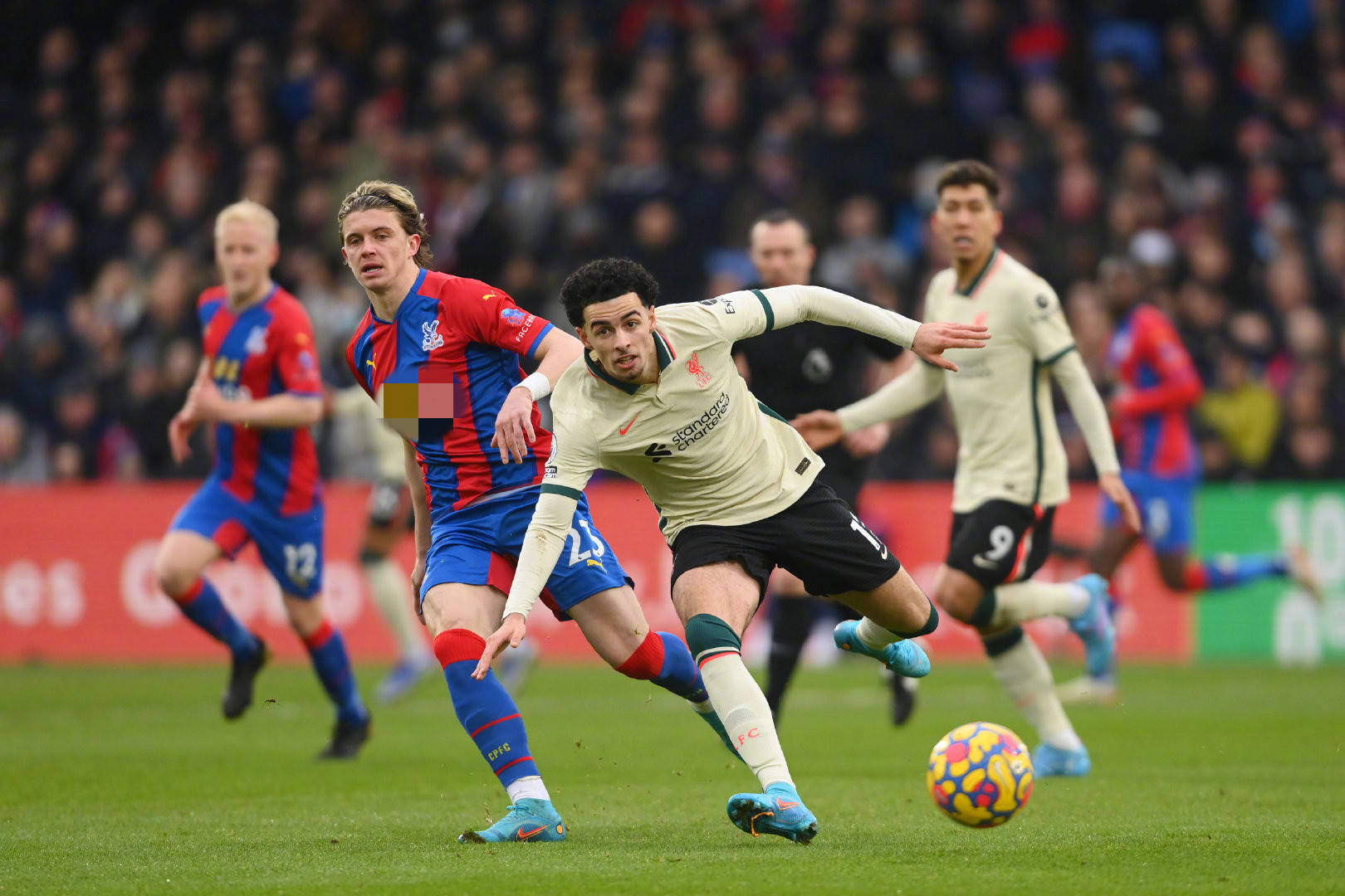 国游泳领域 国游泳领域