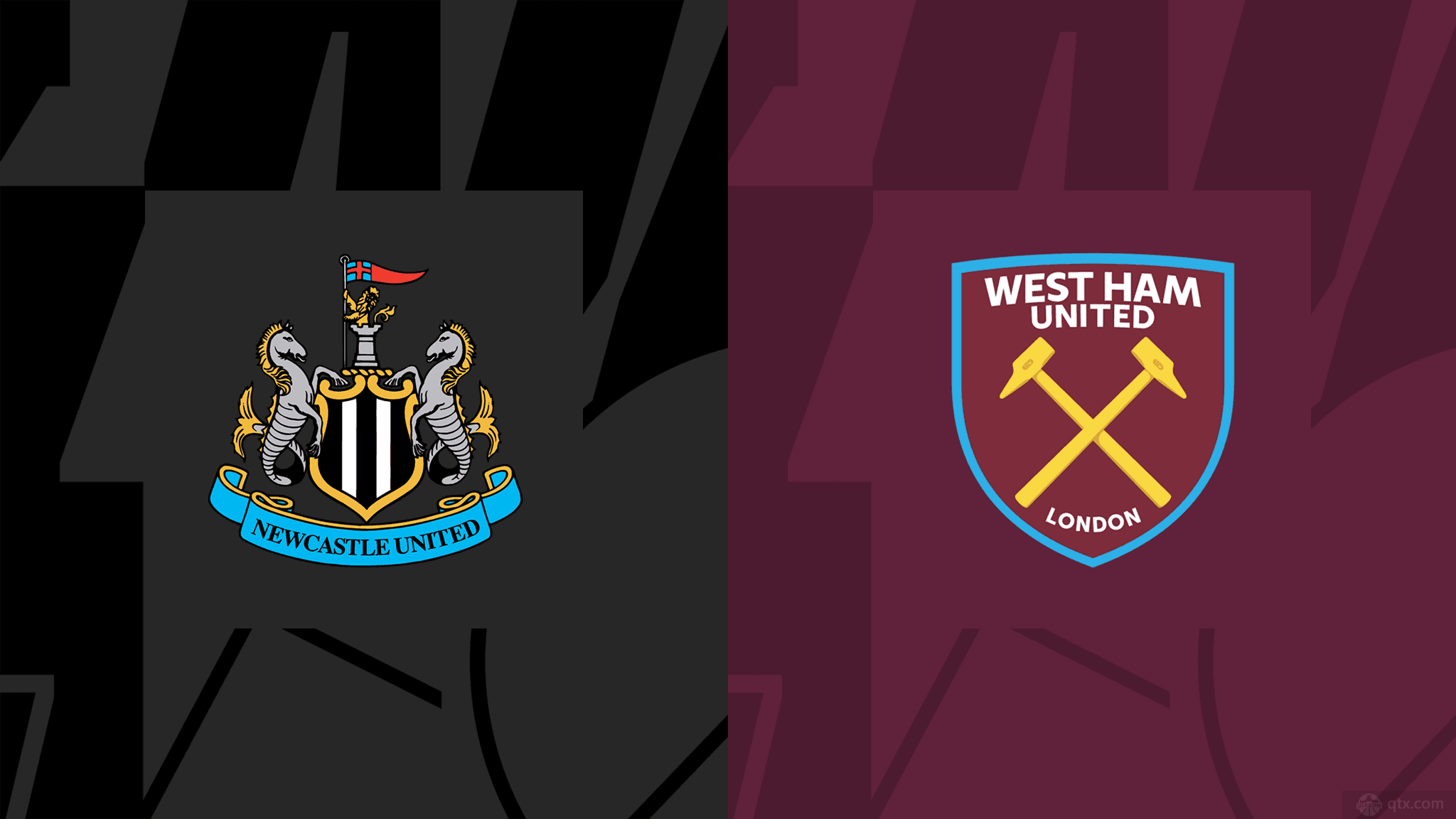 不仅彰显了 不仅彰显了